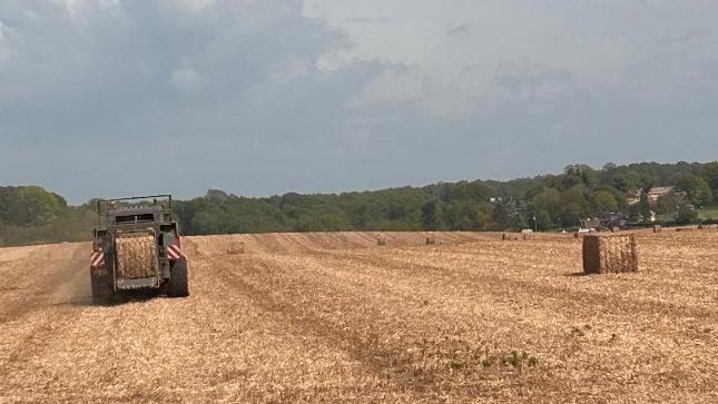 Tractor in a field