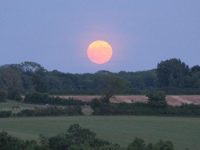 Strawberry Moon near horizon with fields in the foreground