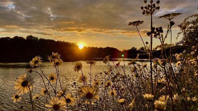 Sunset in Bransford Worcestershire