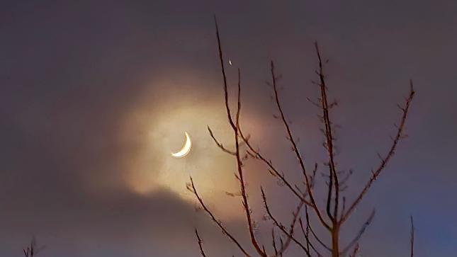 The crescent moon in the sky with leafless tree branches in the foreground