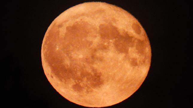 Strawberry Moon close up