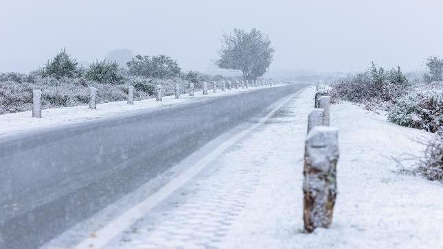 A straight road in the New Forest covered in snow. The road is lined with posts and there are trees and shrubs either side, all covered in snow.