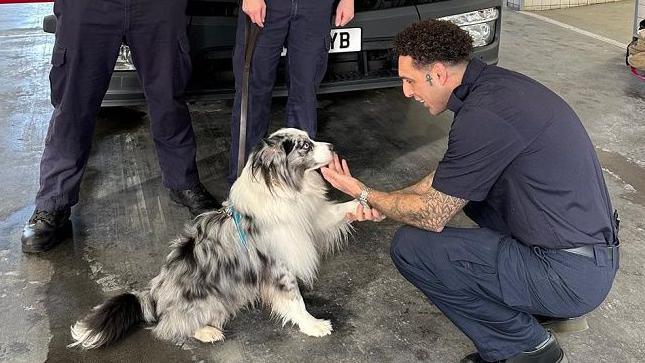 Blue the Australian Shepherd with a member of the brigade