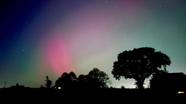 Silhouetted trees and buildings are in the foreground of this photo, with a pink flare and green and purple tinges in the sky.