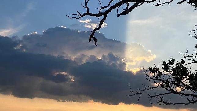 Clouds in the sky with sun behind and a tree branch hanging over 