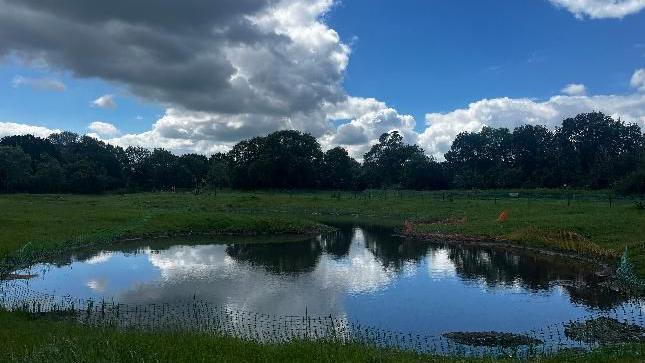 Clouds reflecting into a pool of water 