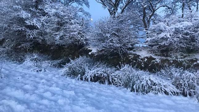 Snow in Barnstaple