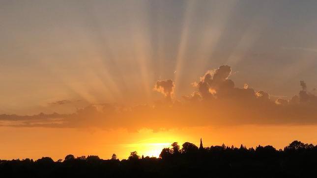 The sun setting behind a tree line. Beams of sun coming up through the clouds.