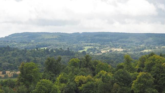 Trees and hills. White clouds above.