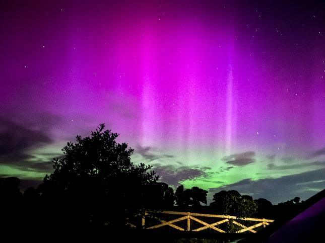 Northern lights in pink and green shades are seen in the night sky. A tree and a fence are in silhouette. 