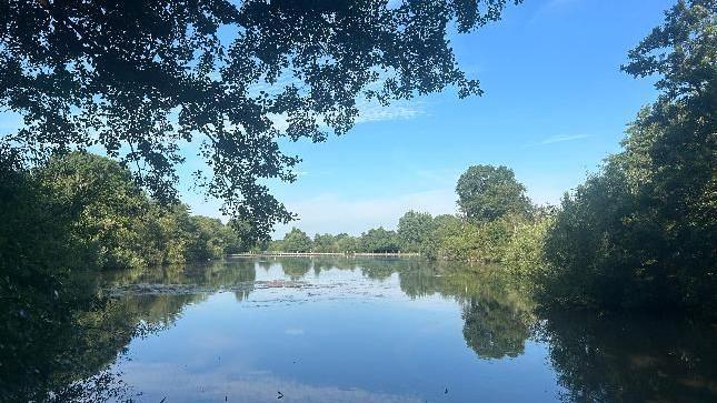 A lake in Earlswood, Surrey. The lake is flanked by trees. 