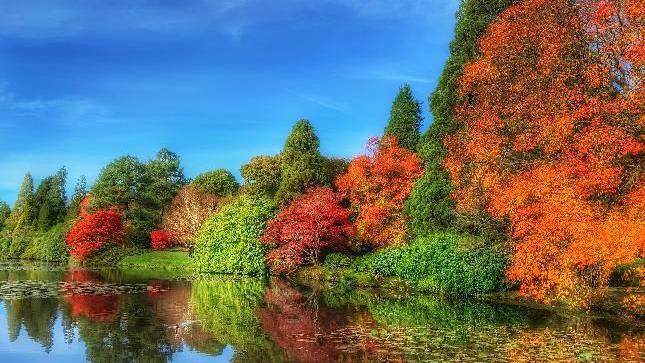 Tree leaves change colour by a river