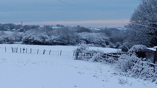 A snow-covered field, bordered by a fence, with houses in the distance