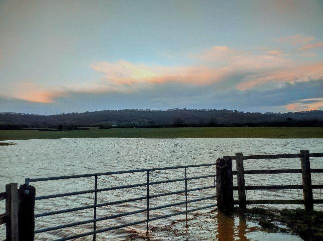 A flooded field is pictured behind a gateway and fence. The bottom of the gate is covered by water, which has flooded a significant portion of the field. A hill and treeline can be seen in the background below a blue sky.