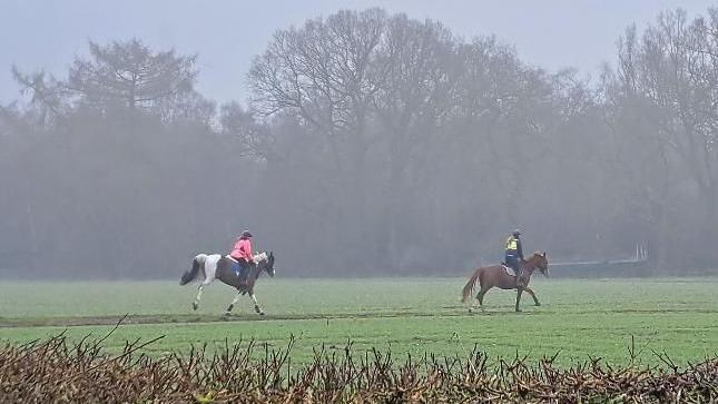 Two horse riders riding across a grassy field on a misty day with a hedge in the foreground and large trees in the distance