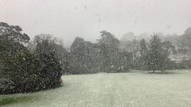 Snow seen falling on the ground in Exeter with green trees in the background