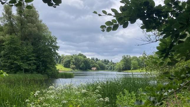 A lake in Kidderminster