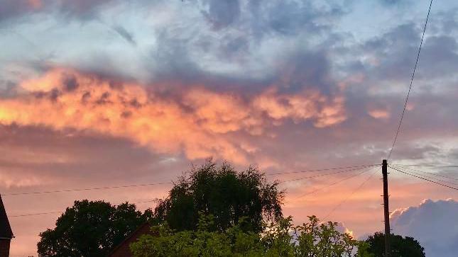 Pink clouds over trees 