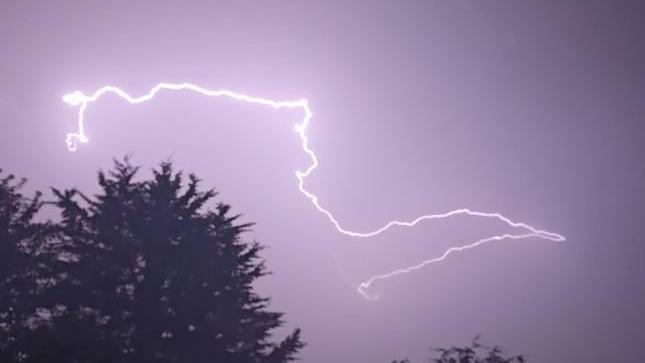 Bright lightning snakes through a pale purple sky above the tops of trees in a storm.