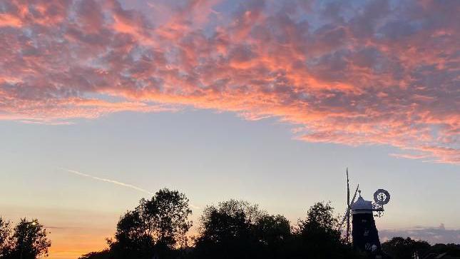 Pink clouds above trees and a windmill.