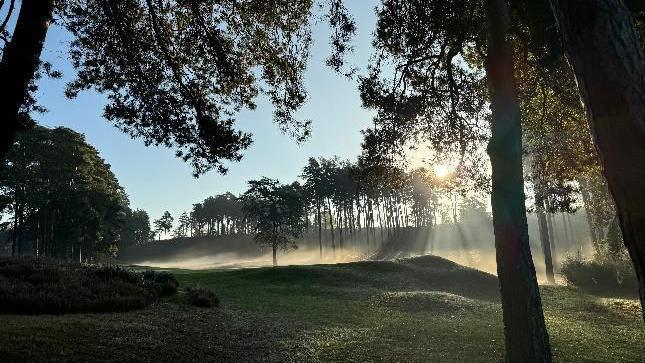 Early morning mist on a lumpy area of grass. The sun is low, casting shadows through and area of tall tress with narrow trunks in the background. There are more of these trees to the right with bushier trees to the left. The sky is light blue and cloudless but the trees and grass are dark green due to the shadows and time of day.