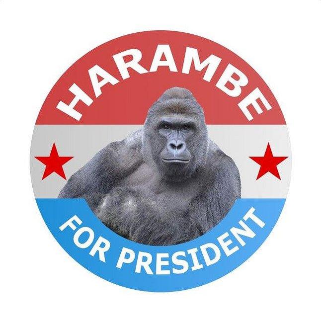 Harambe for President badge