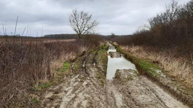 A rutted water-logged section of the Viking Way, flanked by trees and hedges. The trail looks very muddy, with tyre tracks sweeping past a large pool of water.