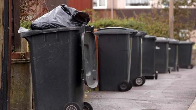 Black wheelie bins lined up on a residential street, ready for collection.