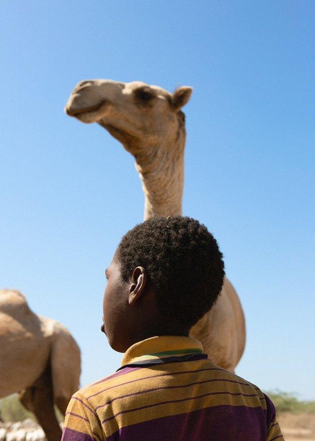 Boy standing next to a camel