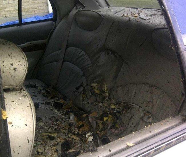 Royal Canadian Mounted Police provided an image of the backseat of the taxi where Driver detonated an explosive device.