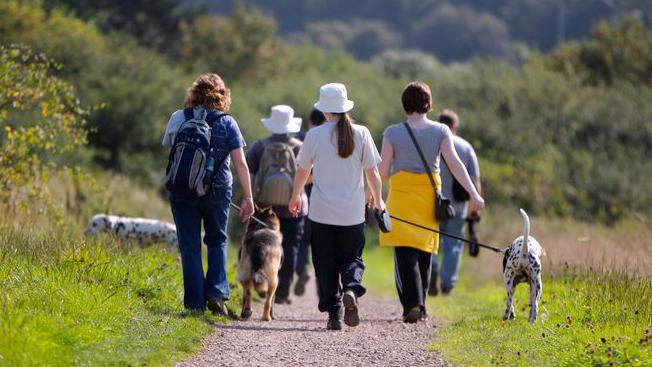 A group of people walking on a path in the country. Two dogs are on leads with them. The group have their backs to us, women and men, about half a dozen.