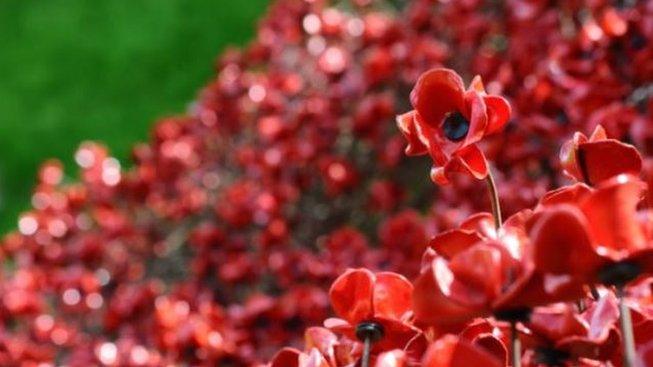 Ceramic poppies