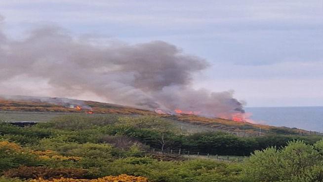 A picture of Easington Colliery Nature Reserve. A fire can be seen across the horizon on a hill. Dark smoke is blowing into the sky.