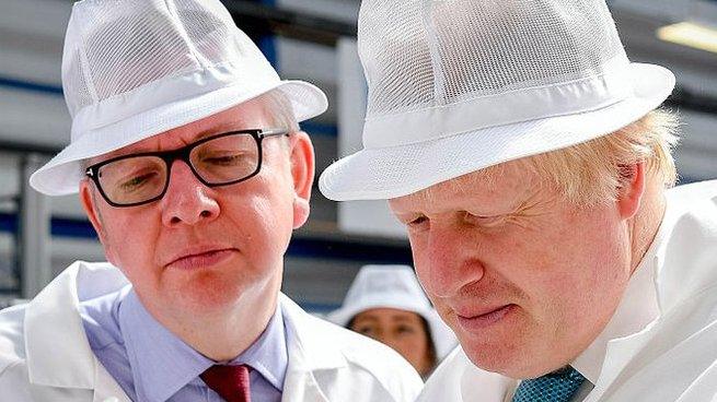 Michael Gove and Boris Johnson