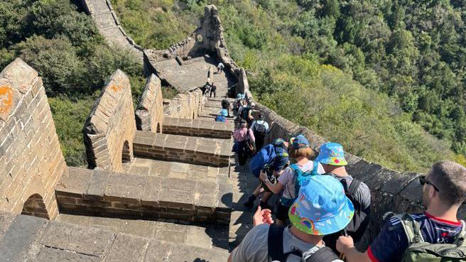 A group of walkers in colourful bucket hats and caps walk down a very steep set of steps in the middle of wooded area.