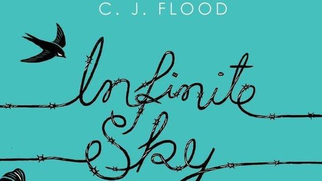 Cover of Infinite Sky