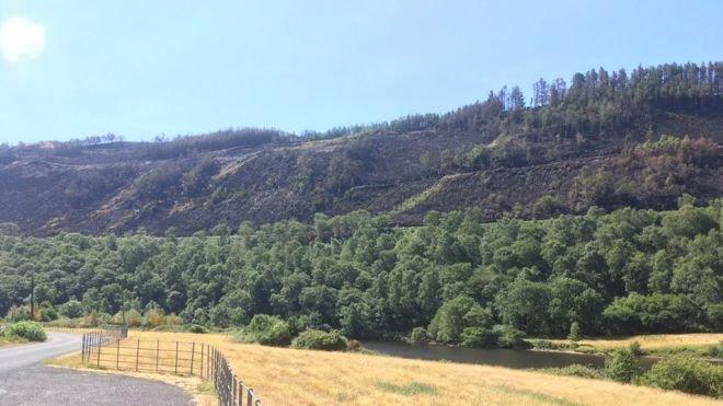 Cwm Rheidol mountainside