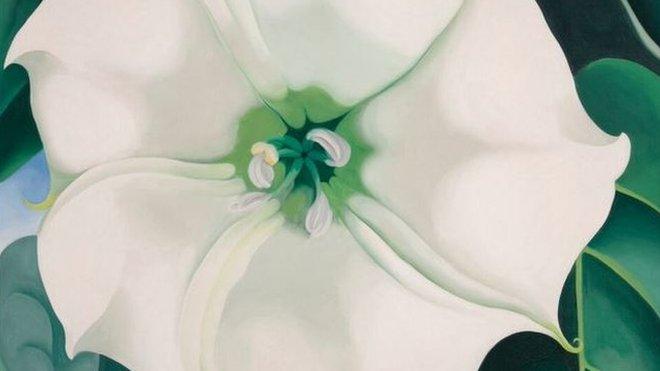 Jimson Weed, White Flower No. 1 by Georgia O'Keeffe