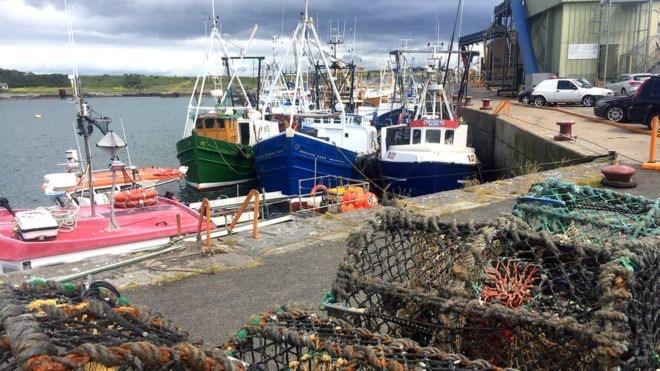 fishing boats