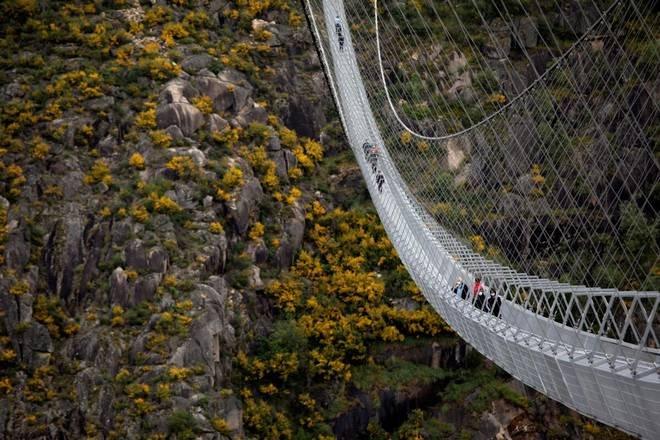 worlds-longest-pedestrian-bridge-opens