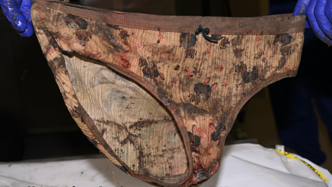 Pair of women's knickers which are dirty from mud but were originally pink and beige with a cartoon-style donkey pattern.