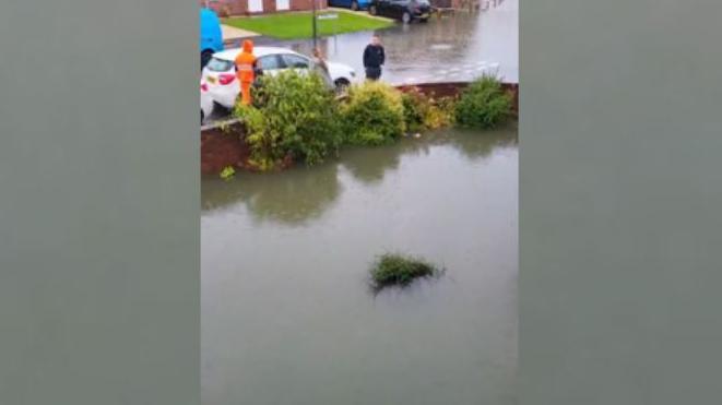 A front garden completely flooded, with a few bushes poking out through the water.