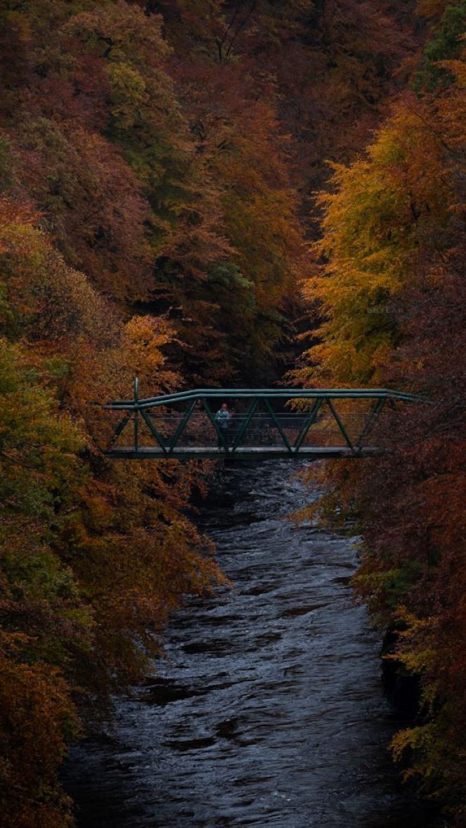 "I captured this picture from Killiekrankie. Autumn at its best," said Rakesh Raju