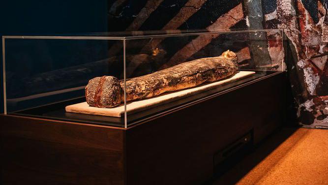 A mummy in a glass box in Derby museum 