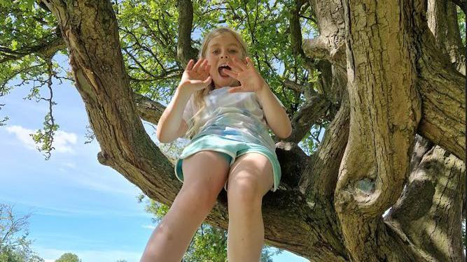 A little blonde girl sitting in a tree. She is looking down to the camera and is wearing light green shorts with a colourful t-shirt.