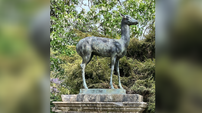 A bronze fawn standing on a stone plinth inform of green foliage.