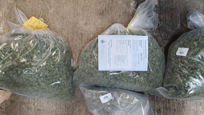 Cannabis seized by police