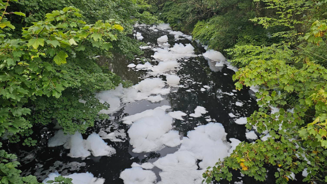 Large white bubbles floating along a narrow meandering section of the River Tame on Monday morning. 