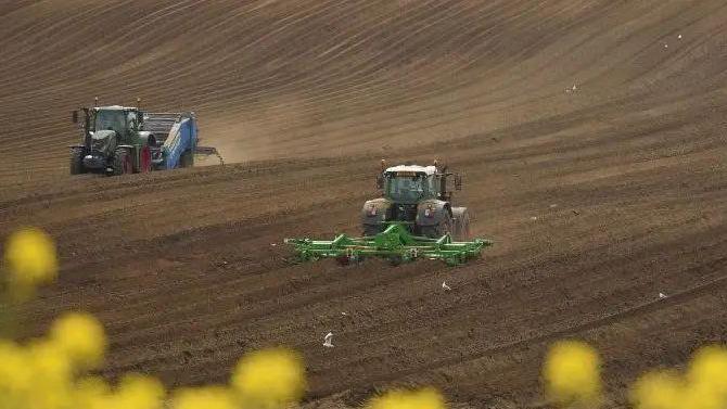 Two tractors plough a muddy field, with bright yellow oil seed rape in the foreground