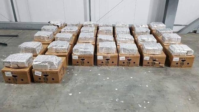 cocaine in banana shipment